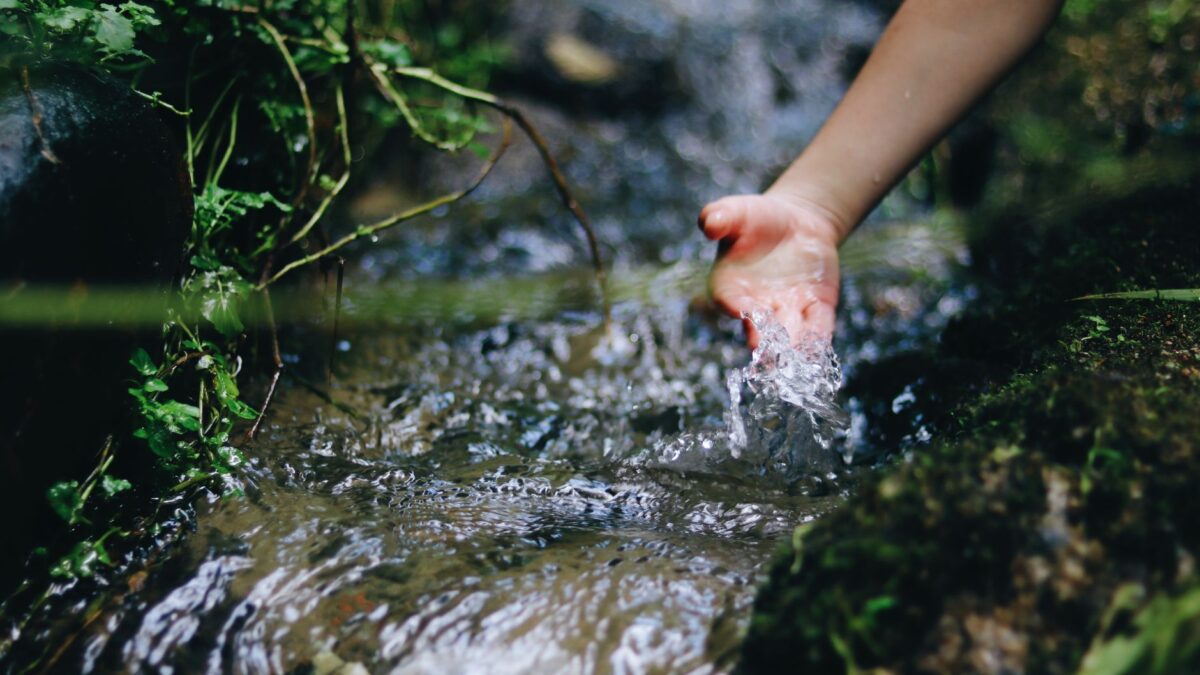 eau boire nettoyer choisir minéralité