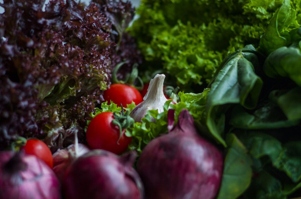 aliments nettoyer reins riches eau